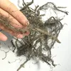 1004 Ou Ya Shui Long Gu Chinese Natural Herb Polypodium Vulgare With Low Price