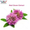 Trifolium Pratense L. EU standard pesidicide free red clover extract for Regulating estrogen