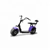 ce emc electric scooter 2 wheels electric motorcycle citycoco KC-C02