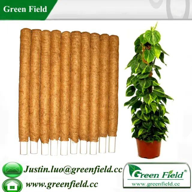 green field garden decoration plant stake sticks,garden plant