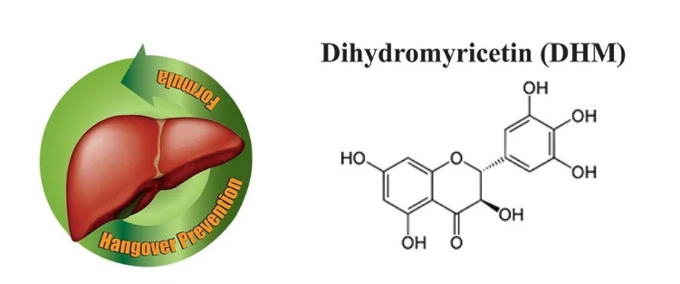 98% Dihydromyricetin Ampelopsin Vine Tea Extract 98% Dihydromyricetin DHM for Liver Protection