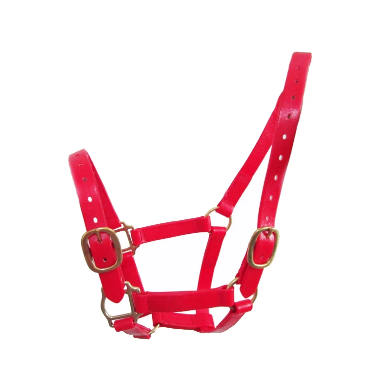 Light Green Color Spanish Pvc Halter With Foam Padded Buy Design Your Own Horse Halter,Horse