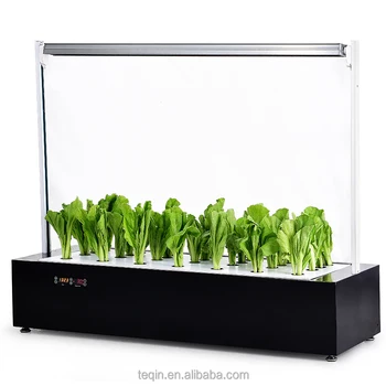 Led Hydropopnics Seedling Growing Tray Mini Indoor Home Garden Led Hydropopnics Seedling Growing Tray Mini Indoor Home Garden Plants Grow Kits