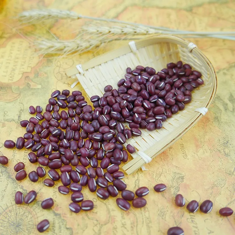 High Quality Dried Azuki Bean