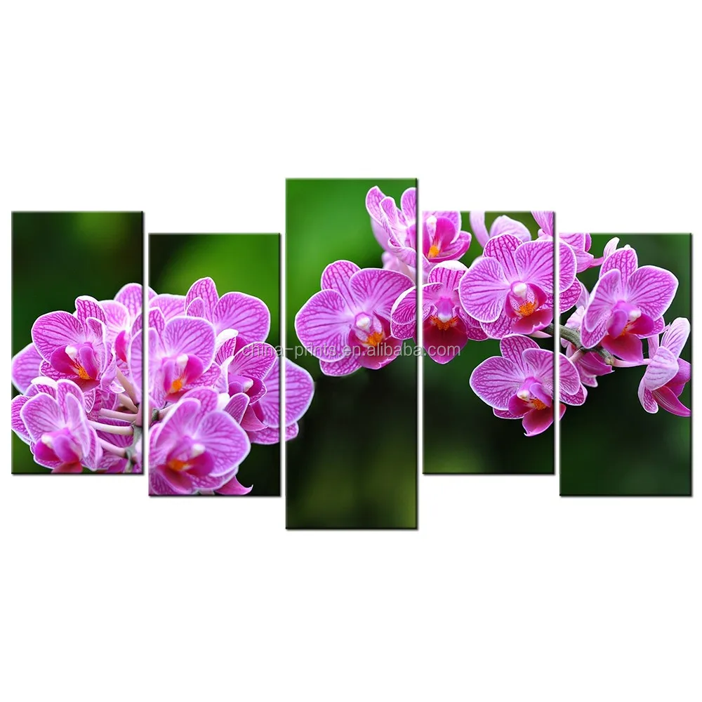 5 Pcs Moth Orchid Canvas Wall Art Painting Charming Pink Flower Canvas Prints Floral Printed Canvas Wall Art Buy Wall Art Painting Flower Canvas Prints Canvas Wall Art Product On Alibaba Com