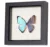 Framed Butterfly Shadow Box Wall Art - Buy Framed Butterfly,3d Shadow ...