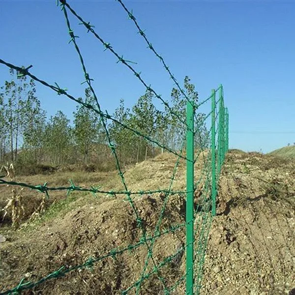 Plastic Barbed Wire/pvc Coated Barbed Wire/pvc Barbed Wire Fencing ...