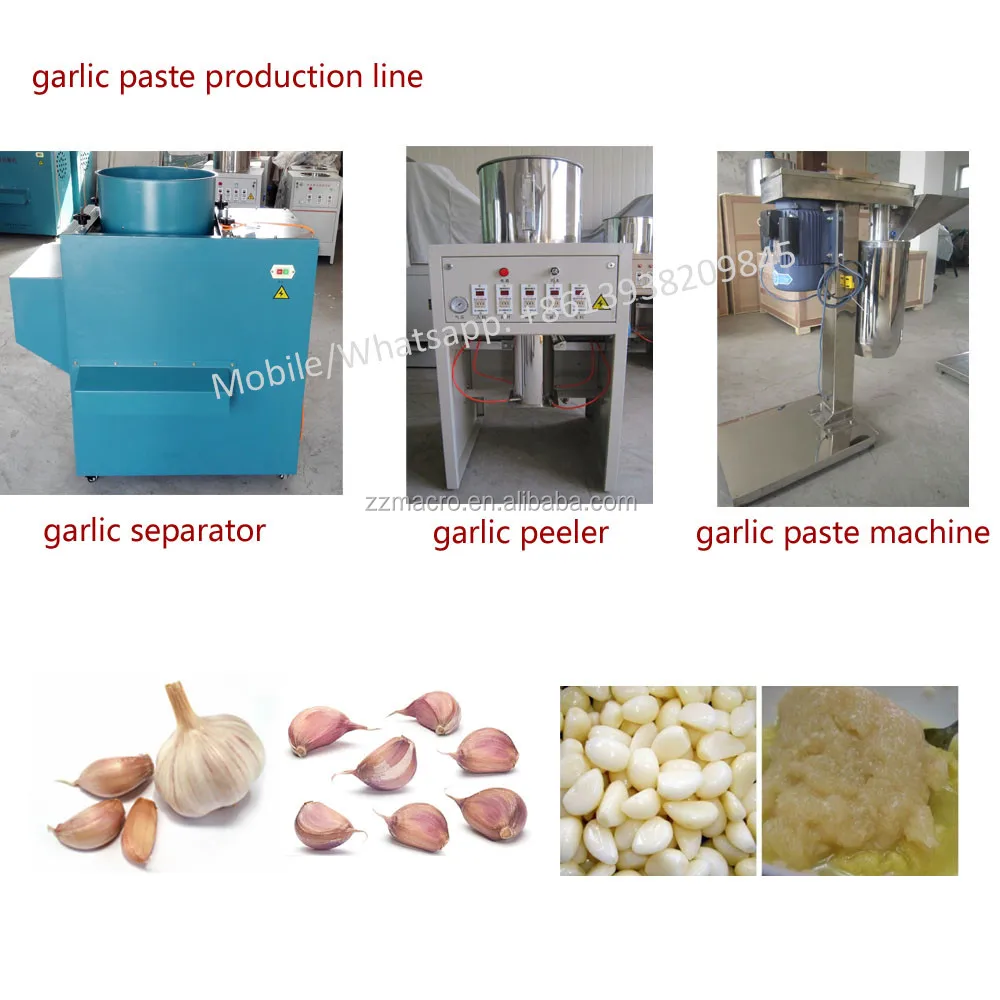Peeled Garlic Processing Machine Buy Peeled Garlic Processing Machine,Production Line,Factory