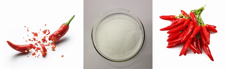 Wholesale Pure Capsaicin Powder in Bulk.jpg