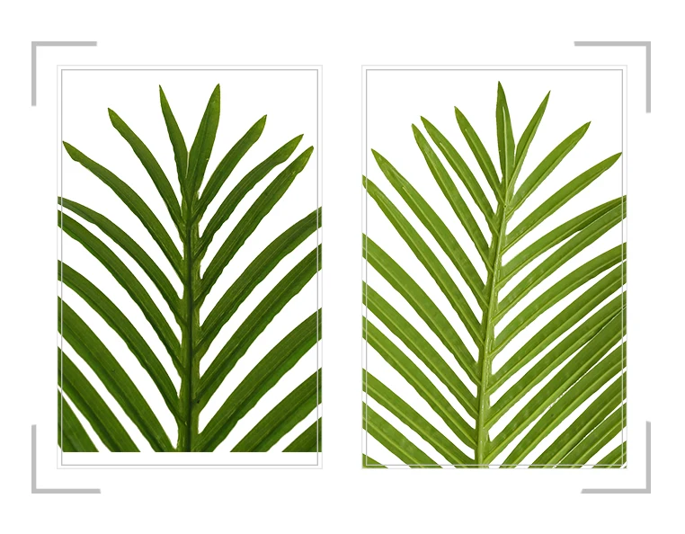 China export 1.8m single plastic mini palm artificial Phoenix Palm tree