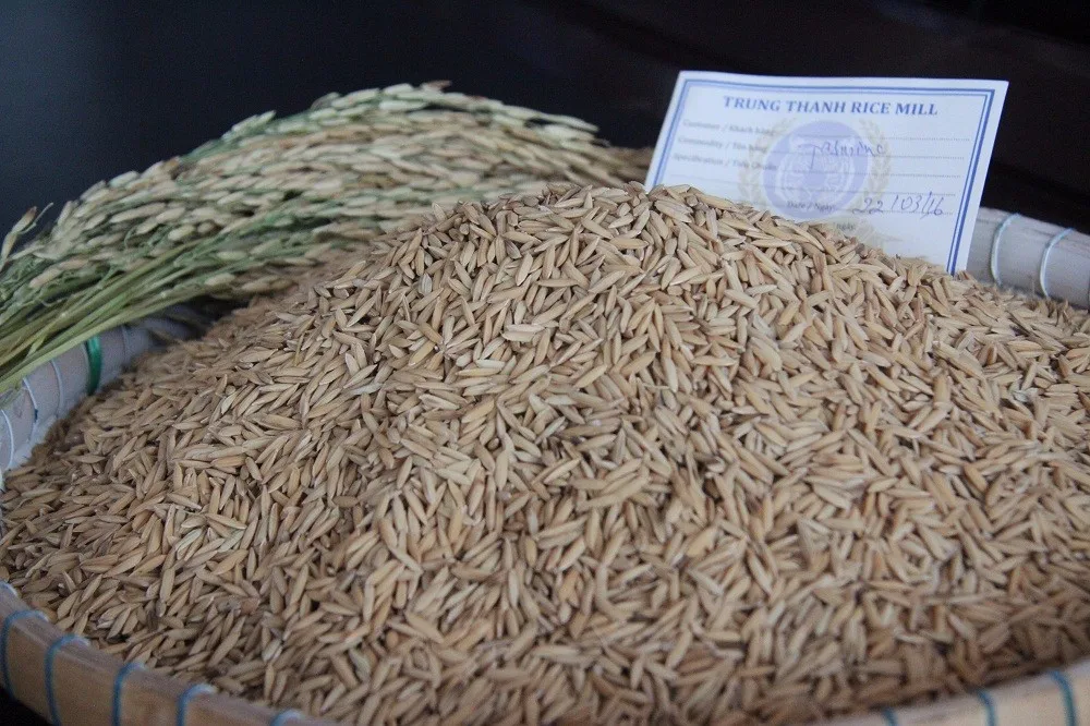 vietnamese long grain white rice in manufactory price