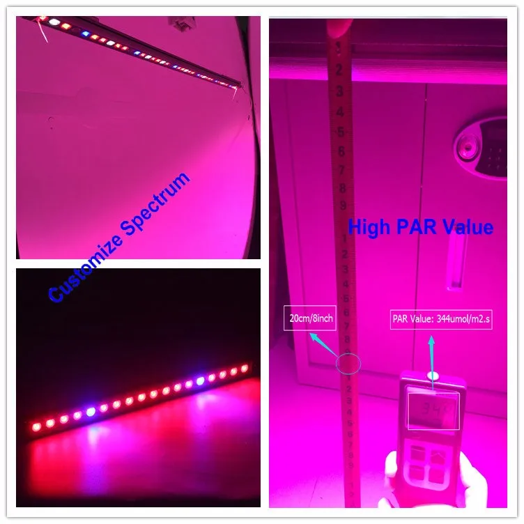 Hot seller Grow lettuce and microgreens LED Grow Lights CP300 60W power strip and Aquarium Lighting LED Grow Light Strip
