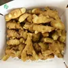 Certificate China long ginger price /fresh ginger supplier