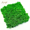 Irish Preserved Reindeer Moss Wall for House Office Home Decoration