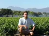 Vines