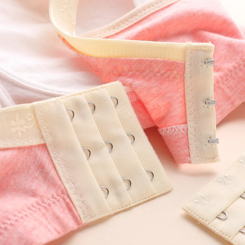 4562911482_1752827915