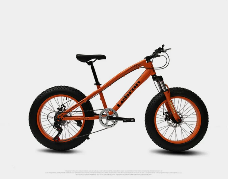 lebron fat bike