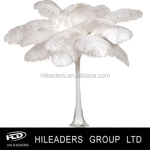 Dna417 Wholesale Vase Decoration Ostrich Feather Buy Wholesale