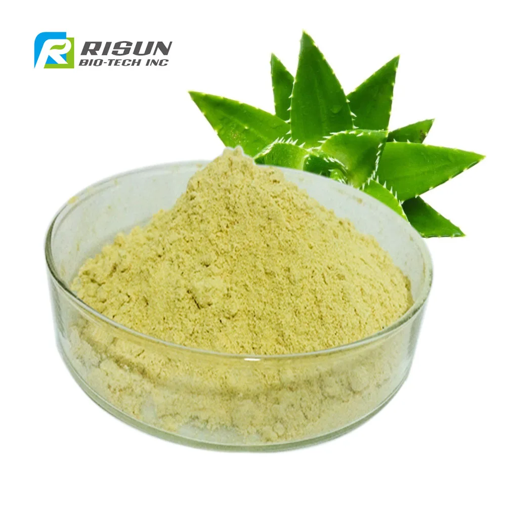 100% Pure Olive Plant Aloe Vera Leaf Extract Aloin 20% Powder Price ...