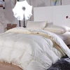 CLASS WEIGHT DOWN ALTERNATIVE COMFORTER