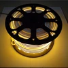 China manufacturers orange led flex neon light overview