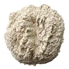 /product-detail/potassium-and-sodium-feldspar-for-ceramics-62122049360.html