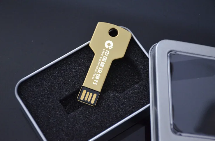 Hot Sale Metal Key Shaped Usb Flash Drive 2GB 4GB 8GB 16GB 32GB 64GB Memoria Stick With Custom Logo - ANKUX.COM
