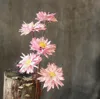 Bending Adjustable Stem Wholesale Dried Flowers