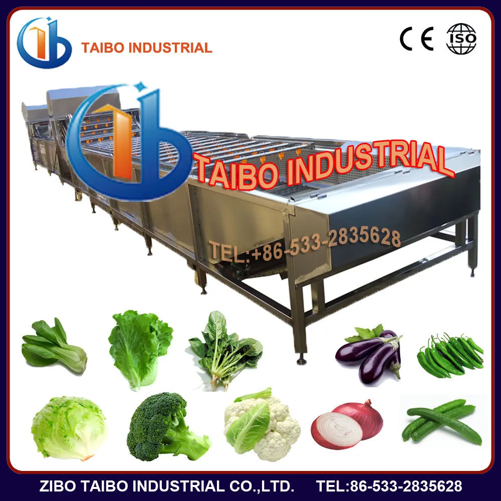 Vegetable And Fruit Processing Machinery Washing Equipment For Photo ...