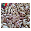 Bulk Pinto Beans, Types Red Beans, Adzuki Beans
