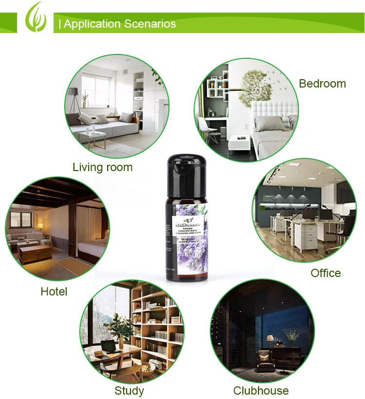 fragrance lavender essential oil