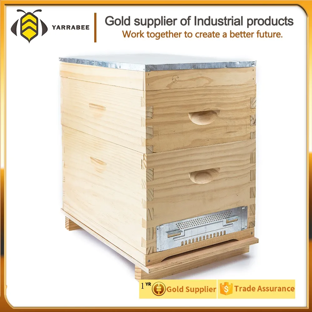 Plastic Bee Hives Nuc Box 5 Frames For Beekeeping Buy Plastic Bee