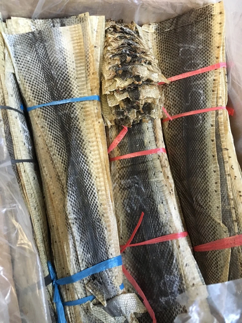 干生水蛇皮为鞋皮革