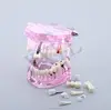 plastic tooth model for student training