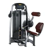 Back extension strength equipment Lower back machine /commercial fitness machine