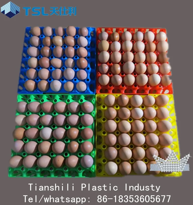 30 Holes Plastic Incubator Egg Trays - Buy Plastic Egg ...