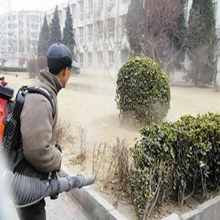 QQ20181128083703_.jpg