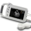 vet ultrasound easy scan for animals