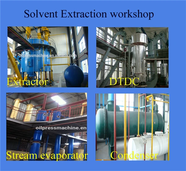 Automatic Mustard Oil Machine Mustard Oil Mill Buy Automatic Mustard