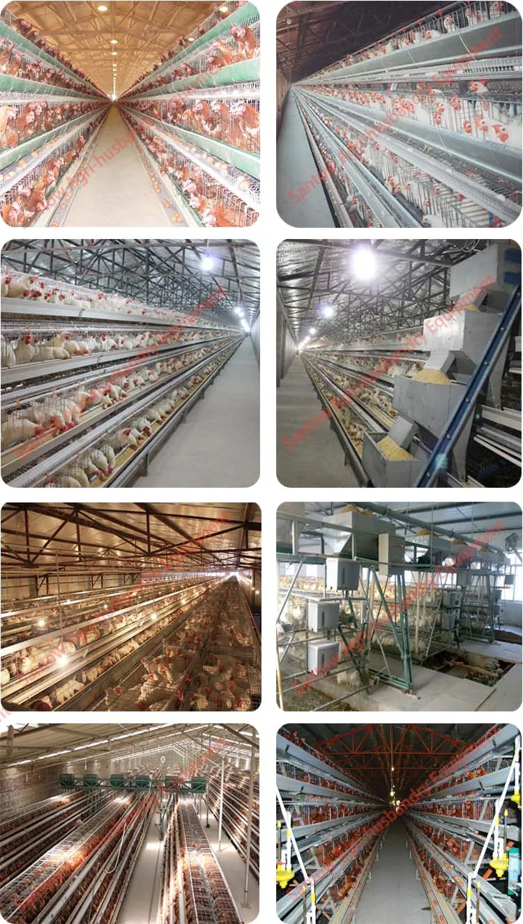 Hot Galvanized Chicken Poultry Cages Cold Galvanized Chicken Layer Cage Best Quality For Sale Nigeria Africa