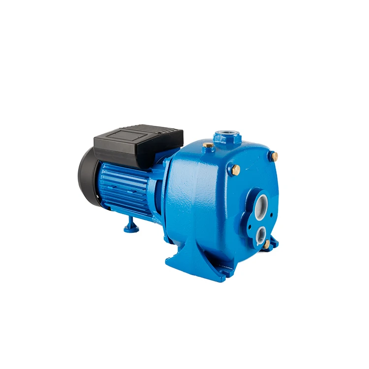 Dp Portable Water Pump Lowes Buy Water Pump,Small Low Volume Water