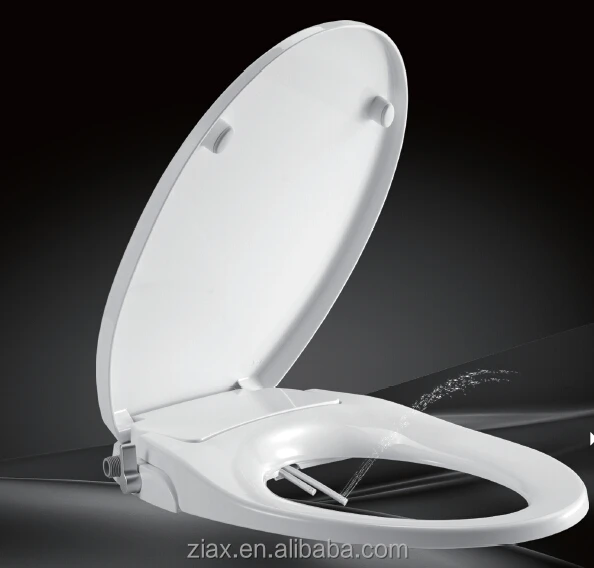Hot Sale China Manufacturer Toilet Seat Non Electric Bidet Seat