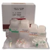DNA ladder detection kit