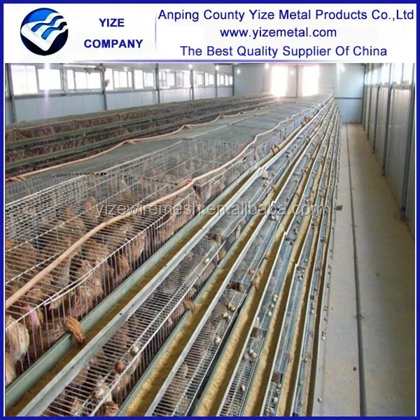 Commercial Quail Cages Feeding Quail Laying Cage Poultry Farm Equipment