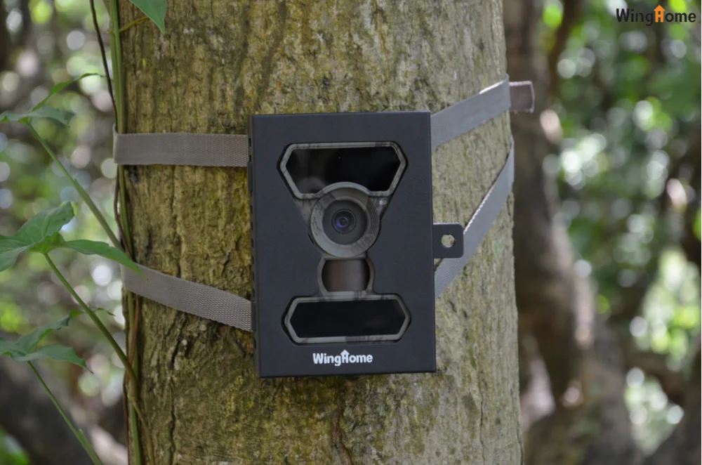 Support Lock Game Hunting Trail Camera Metal Security Box Buy Trail