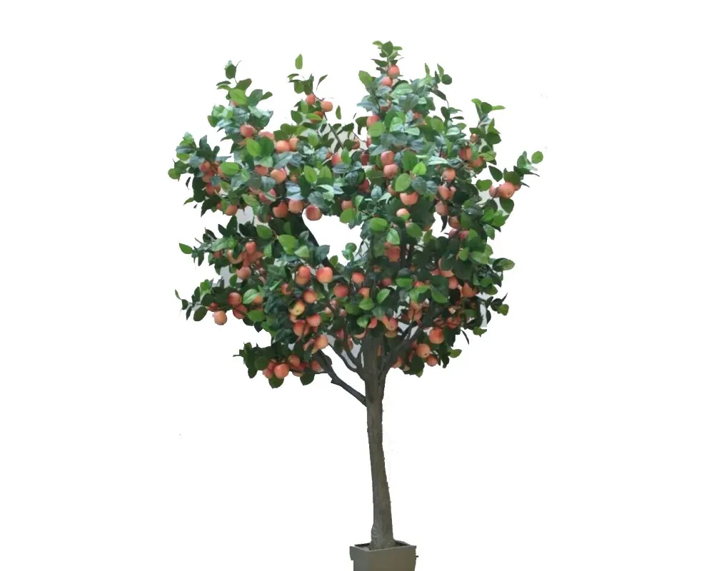 Яблоня дерево символ. Яблоня дерево. Декоративные фруктовые деревья. Яблоня дерево на белом фоне. Яблоня без фона.