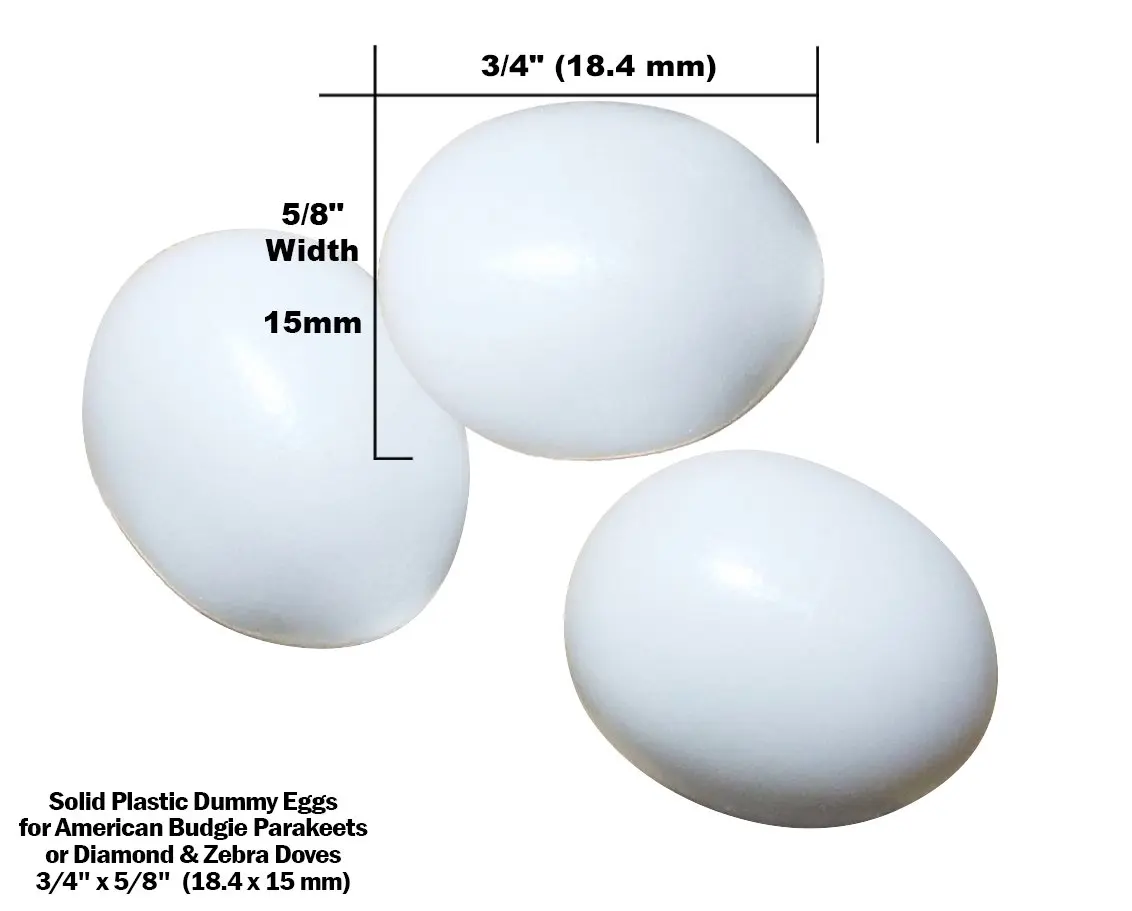 Buy Dummyeggs Stop Egg Laying Fake Bird Eggs Am Budgie Parakeet Budgerigar Budgy Parrotlet Or Diamond Dove White Solid Plastic Realistic 3 4 X 5 8 18 4x15mm Eggs Or Kits In Cheap Price On