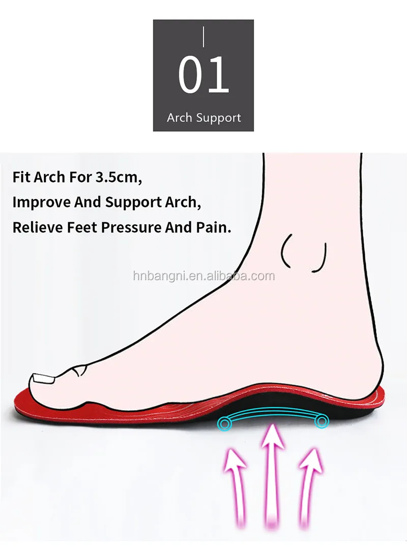ortholite arch support