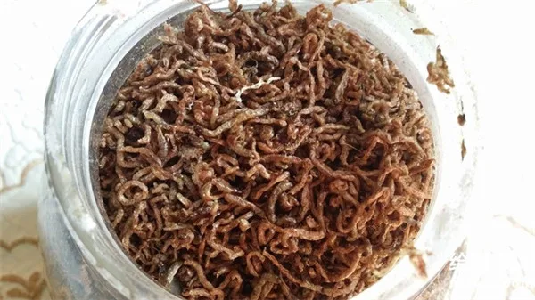 dry worms fish food