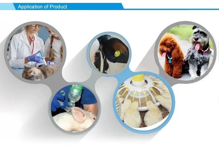 HTB1EPOFPpXXXXXyXXXXq6xXFXXXb